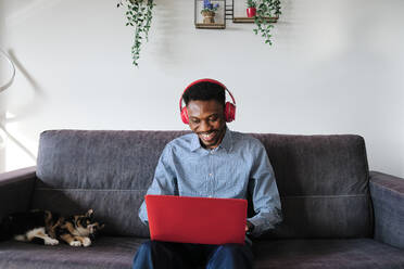 Businessman with headphones using laptop while sitting by cat at home - AGOF00093