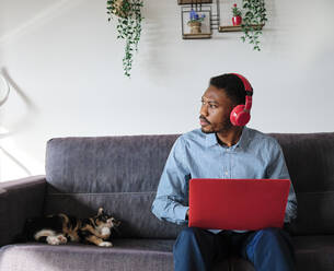 Thoughtful male entrepreneur sitting with laptop by cat on sofa at home - AGOF00094