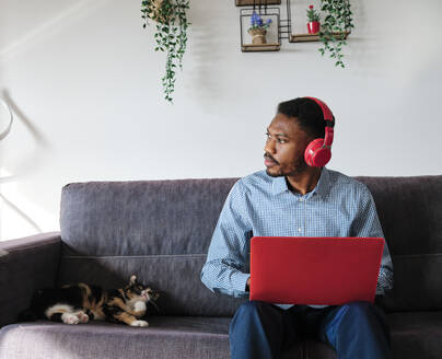 Nachdenklicher männlicher Unternehmer sitzt mit Laptop neben seiner Katze auf dem Sofa zu Hause - AGOF00094