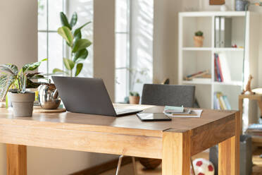 Interieur des modernen Wohnzimmers mit Laptop und Topfpflanze auf dem Tisch zu Hause - SBOF03313