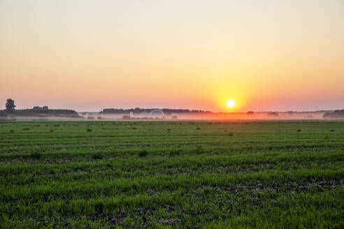 Deutschland, Bayern, Augsburg, Landwirtschaftliches Feld bei Sonnenuntergang - MAMF01678