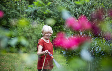 Senior woman watering her garden with garden hose - MAMF01679