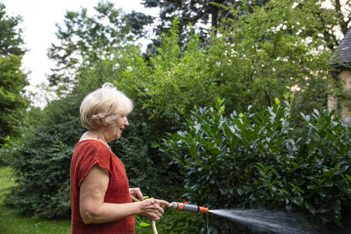 Ältere Frau bewässert ihren Garten mit einem Gartenschlauch - MAMF01680