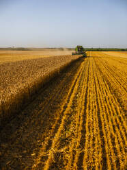 Combine harvesting field of wheat - NOF00145