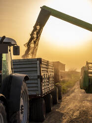 Sonne geht über einem Mähdrescher auf, der einen Traktoranhänger mit geerntetem Weizen füllt - NOF00155