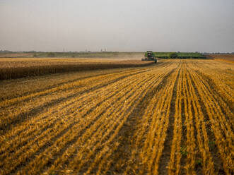 Combine harvesting field of wheat - NOF00156