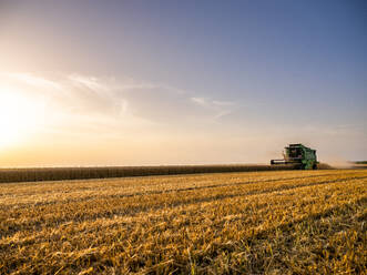 Combine harvesting field of wheat at sunrise - NOF00160