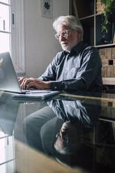 Älterer männlicher Berufstätiger mit Laptop, der von zu Hause aus arbeitet - SIPF02301