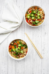 Asian noodle soup with rice noodles, bell pepper, mushrooms, spring onions, coriander and carrots - LVF09109