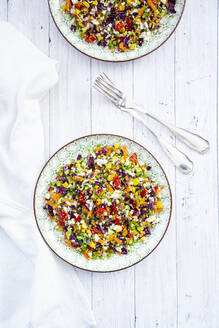 Regenbogensalat aus Brokkoli, Karotten, Mais, Blumenkohl, Rotkohl, roter Paprika - LVF09119