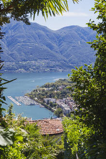 Schweiz, Tessin, Locarno, Blick auf den Lago Maggiore und den Locarneser Bootshafen von Orselina aus - GWF06934