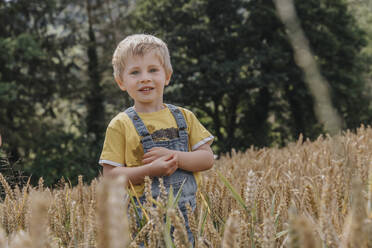 Smiling cute boy standing in barley field - MFF07641