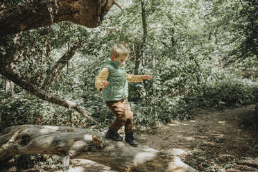 Vorschulkind balanciert auf umgestürztem Baumstamm im Wald während der Ferien - MFF07662