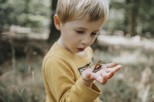 Überraschender Junge betrachtet Schmetterling auf der Handfläche - MFF07665