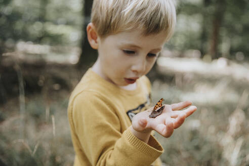Surprised boy looking at butterfly on palm of hand - MFF07665