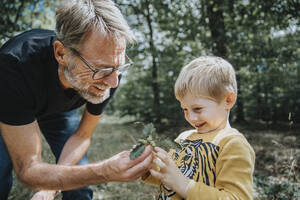 Lächelnder Vater zeigt seinem Sohn Eichel und Eichenblätter im Wald - MFF07666