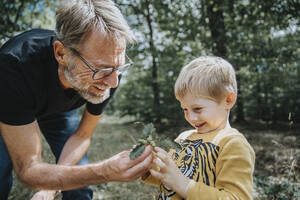 Smiling father showing acorn and oak leafs to son in forest - MFF07666