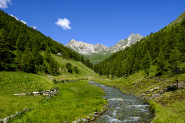 Italy, Aosta Valley, Saint-Rhemy-en-Bosses, Stream in Valle Del Gran San Bernardo - LBF03474