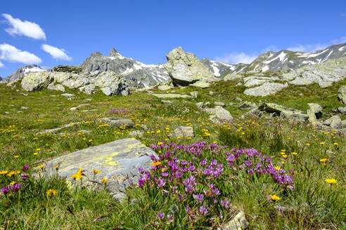 Italy, Aosta Valley, Pain du Sucre at Great Saint Bernard - LBF03484