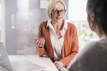 Female entrepreneur discussing business plan with female colleague in home office - UUF23140