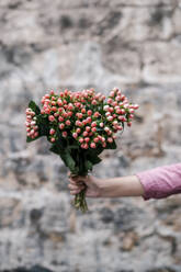 Frau hält einen Strauß Hypericum-Blüten vor einer Mauer - EGAF02123