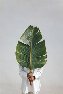 Junge Frau bedeckt ihr Gesicht mit einem großen Bananenblatt vor einer weißen Wand - TCEF01702