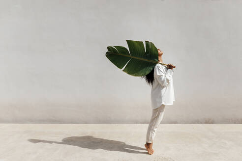 Young woman carrying big leaf on shoulder while standing on tiptoes by white wall during sunny day - TCEF01709