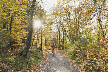 Älterer Mann wandert auf einem Fußweg im herbstlichen Buchenwald - GWF06940