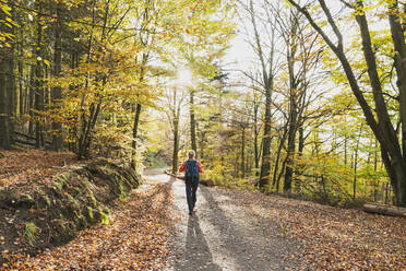 A Girl in Hiking Clothes Photographs Landscapes in the Mountains through an  Autumn Beech Forest Stock Image - Image of hike, fall: 187773223