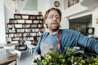 Male owner with plant crate standing in coffee shop - JOSEF04001