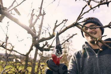 Smiling male farmer with pruning shears cutting bare tree branch - SEBF00302