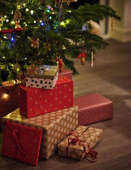 Eingepackte Geschenke vor dem Weihnachtsbaum zu Hause - PWF00279