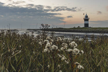 Deutschland, Niedersachsen, Wurster Nordseeküste, Küstenwiese in der Abenddämmerung mit Leuchtturm Kleiner Preusse im Hintergrund - KEBF01845