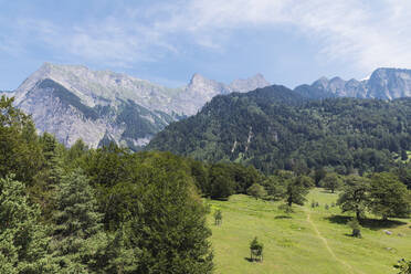 Switzerland, Grisons, Maienfeld, Bundner mountains with Falknis mountain - GWF06955