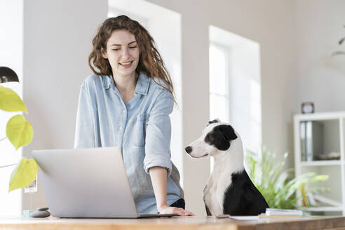 Smiling businesswoman looking at laptop while standing by dog in home office - SBOF03626