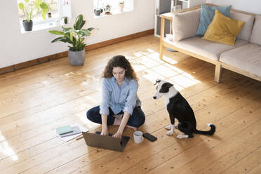 Geschäftsfrau arbeitet mit Jack Russell Terrier am Laptop, während sie zu Hause auf dem Boden sitzt - SBOF03646