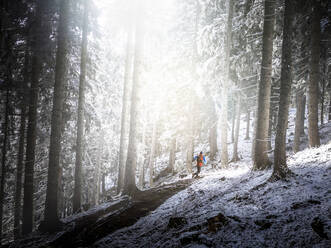 Male athlete running in forest during winter - MALF00339