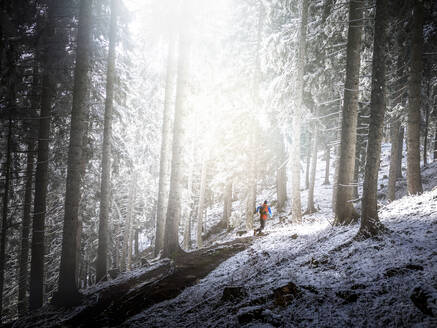 Männlicher Sportler, der im Winter im Wald läuft - MALF00339