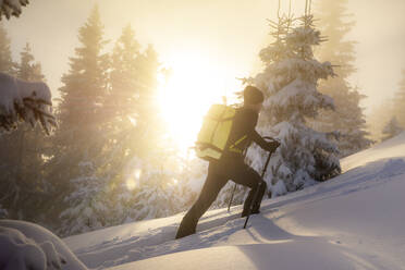Man ski touring on snowy mountain during sunrise - MALF00341