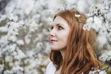 Redhead woman amidst white almond tree looking away - EBBF02947