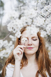 Beautiful woman holding white flower in front of eye while standing amidst almond tree - EBBF02954