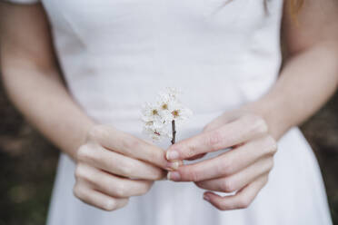 Frau hält weiße Blumen - EBBF02955
