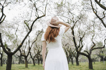 Redhead woman wearing hat standing in park - EBBF02957