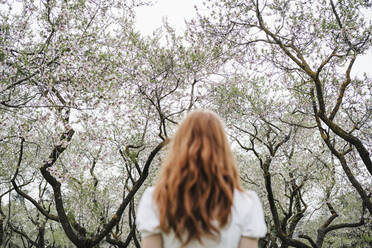 Redhead woman in front of almond tree - EBBF02960