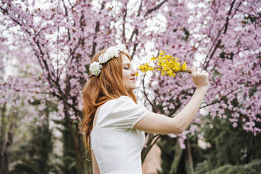 Beautiful woman smelling yellow flower while standing in front of almond tree at park - EBBF02967