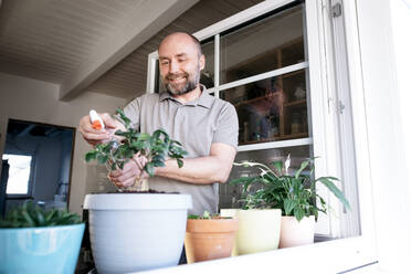 Man spraying water on potted plant in house - KMKF01661