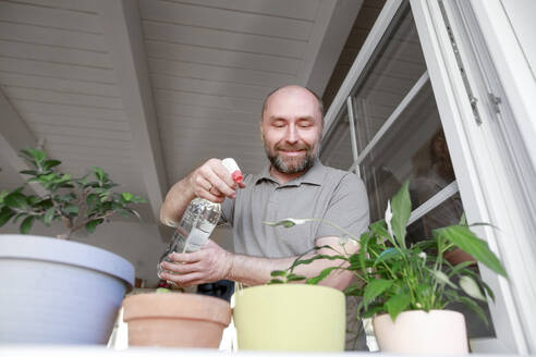 Älterer Mann, der Wasser auf Topfpflanzen im Haus sprüht - KMKF01662