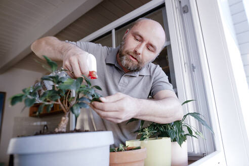 Älterer Mann, der Wasser auf eine Topfpflanze im Haus sprüht - KMKF01663