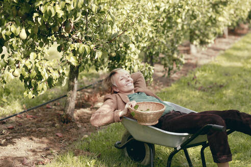 Smiling mature woman with wicker basket relaxing in wheelbarrow at orchard - KMKF01672