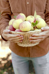 Boy holding basket of apples - KMKF01675